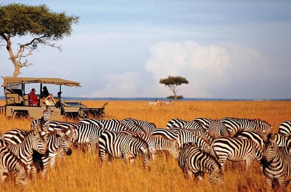 Maasai Mara Experience